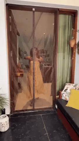Door Curtain-Mesh (Pack of 2)